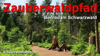 Zauberwaldpfad in Bernau im Schwarzwald [upl. by Ireland]