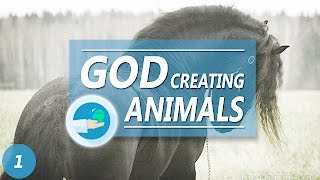 GOD CREATING ANIMALS [upl. by Yttisahc656]