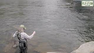 Fly Fishing  Esopus Creek April 25 2020 [upl. by Airekal]