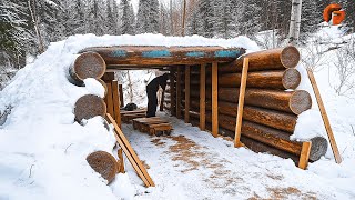 Building Underground Heated Cabin in the Forest  Start to Finish by woodyallan [upl. by Valle]