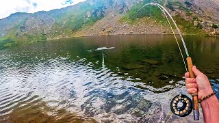 Solo Fishing Mission through the Rockies  FieldTrips Colorado [upl. by Krilov867]