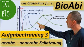 Gärung anaerobe Zellatmung  aerobe Zellatmung  Anwendungsaufgaben 3 zur Vorbereitung aufs BioAbi [upl. by Sheply916]