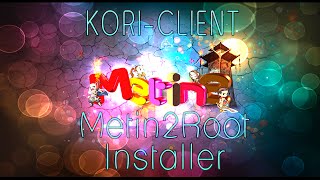 3  Metin2  Serverfils  ServerInstaller  13 update [upl. by Romo]