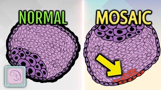 Successful IVF with mosaic embryo transfer [upl. by Ainelec407]