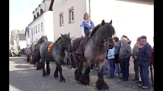 Historisches Erntedankfest in Blankenheim Dollendorf 01102017 [upl. by Nawtna172]