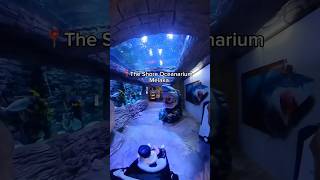 📍The Shore Oceanarium Melaka tempatmenarikmelaka melaka theshoreoceanarium aquarium fyp vlog [upl. by Cira]