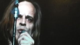 KLAUS KINSKI  EIN KINDERFICKER  Kinski vlog 1 [upl. by Stuppy]