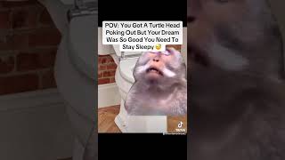 POV You Got To Stay Sleepy 😴 🚽 meme thrending [upl. by Perla]