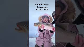 Ice Fishing Trips Alaska fishing icefishing [upl. by Atnauqahs276]