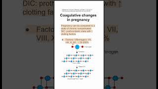 Coagulative changes in pregnancy [upl. by Nyram]