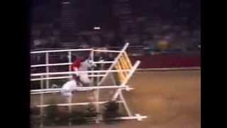 World Record Horse High Jump 2 32 meters [upl. by Atteve109]