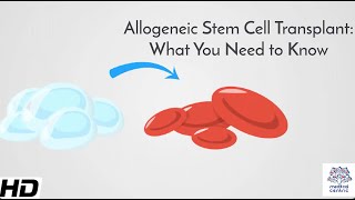 Allogeneic Stem Cell Transplants [upl. by Arlette298]