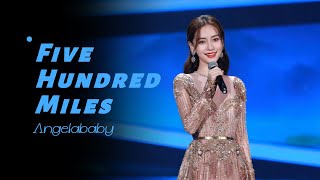 Angelababy 唱英文歌原来这么好听 这首《Five hundred miles》已经单曲循环了 浙江卫视官方音乐HD [upl. by Nivat]