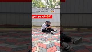 ළගට ආපු විදිහට මටම ඇඩුනා🥺❤️‍🩹🐶dog akita shorts viralvideo subscribe sad moments love [upl. by Aubyn590]