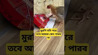 চেষ্টা করলেই হবে trendingdances funny kenolagesunnosunno trendingnow cutebaby cutebaby [upl. by Jennica983]