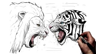 How To Draw Lion vs Tiger  Step By Step [upl. by Selrahcnhoj]