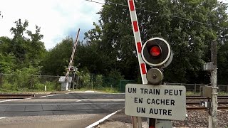 Passages à niveau autour de Paris [upl. by Gizela767]