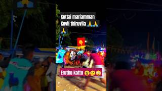 Kottai mariamman Kovil thiruvila 🙏 eruthu kattu 😮shorts jallikattu jallikattukalai eruthukattu [upl. by Neumark399]