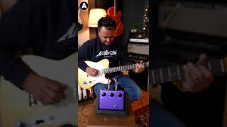 Tube Screamer vs Klon guitarpedals guitar pedals [upl. by Notsgnik]