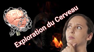 Exploration du cerveau humain [upl. by Thom463]