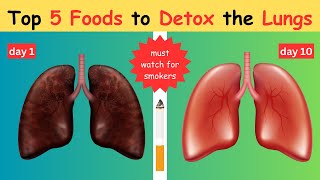 5 Best Foods that Helps to Detox the Lungs  Must Watch for Smokers [upl. by Neersan]