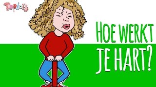 HOE WERKT HET HART NOU EIGENLIJK  ANIMATIE [upl. by Notse]