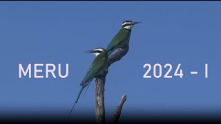 MERU 2024  I [upl. by Cruz]