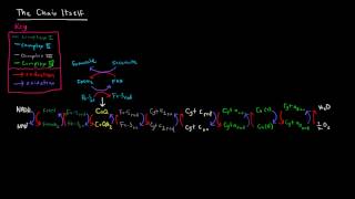 Electron Transport Chain Part 2 of 3  Complexes [upl. by Paterson]