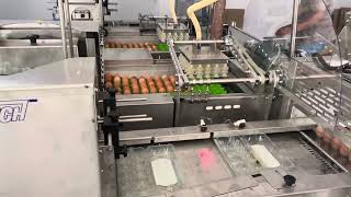 Egrader40 egg grader with repacker for egg packing in Greece [upl. by Garrot]