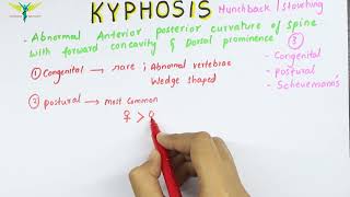 Kyphosis  Medical symptomatology  Types and Causes [upl. by Kcirdec]