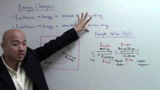 OLevel Chemistry  IP Chemistry Energy Changes  Endothermic amp Exothermic Reactions [upl. by Nethsa]