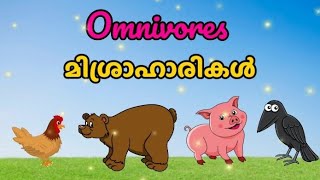 Omnivores  മിശ്രാഹാരികൾ  Names of Omnivores in English and Malayalam [upl. by Reynard]