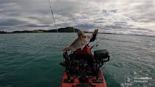 fishing at kawakawa bay nzgot a limit [upl. by Noffets]