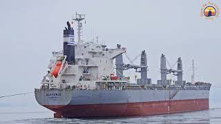 UNBERTHING  VESSEL ALKYONIS  PORT OF PARANAGUA  BRAZIL [upl. by Underwood961]