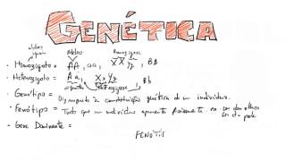 Introdução à Genética   Genótipo e Fenótipo  Homozigoto e Heterozigoto [upl. by Connelly]