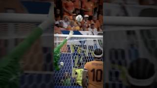 verbruggen rain 🇳🇱🥶 football goalkeeper brightonandhovealbion [upl. by Hound837]