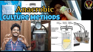 Anaerobic Culture Methods I Tamil  Microbiology  Mclntosh Fildes  GASPAK  ThiNK BIOLOGY [upl. by Keefe]