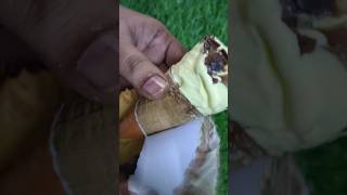 Joy Twister Butterscotch Cone Icecream unwrapping shorts plzsubscribe youtubeshorts [upl. by Hugues]