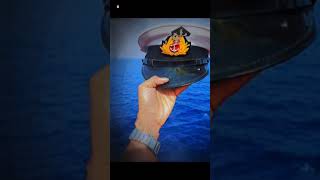 New Navy status 🔥💯🎯navy short feed [upl. by Beekman823]