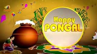 Best Animated Greeting  Happy Pongal to all the Viewers amp Subscribers of Telugu Filmnagar [upl. by Iadrahs777]