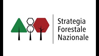 Presentazione proposta della Strategia Forestale Nazionale  8 maggio 2020 [upl. by Aynas]