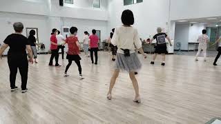 Stroll Along Cha Cha Sway 2 Line Dance 2023610 [upl. by Larena]