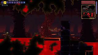 Looting The Shadows Terraria p63 [upl. by Onitselec]