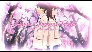 AnimaMV  Kimi no Suizou wo Tabetai [upl. by Morocco]