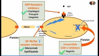 Antiplatelet Aspirin Clopidogrel and Abciximab in 2 mins [upl. by Coy]