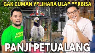 PANJI PETUALANG PUNYA BURUNG LANGKA SEGACOR INI TERNYATA SUKA BANGET BURUNG KICAU [upl. by Seabrooke]