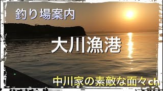 釣り場紹介【和歌山県 和歌山市 大川漁港】 [upl. by Maletta758]