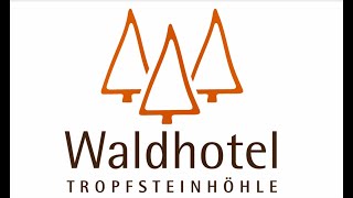 Waldhotel Tropfsteinhöhle  Unternehmensfilm [upl. by Lemmie]