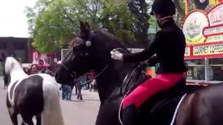 Jubilee Bridles at the Minnesota Horse Expo riding in bitless bridle [upl. by Arraeit505]