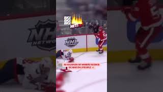 Moritz Seider The Most Ruthless Hits in the NHL [upl. by Vernon]